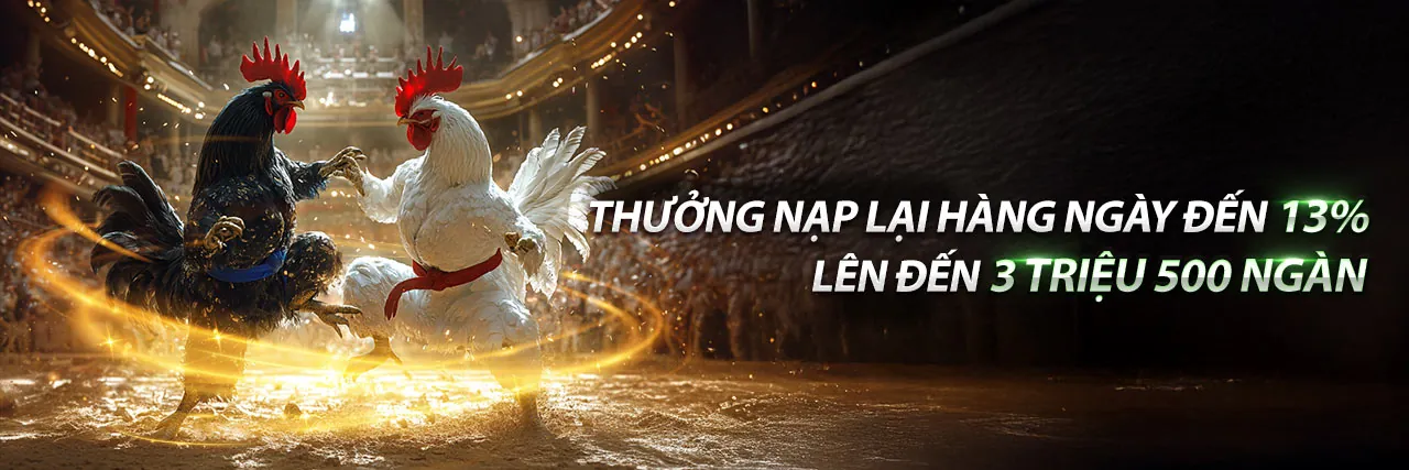 Hình ảnh Chính sách bảo mật 888vnd Code
